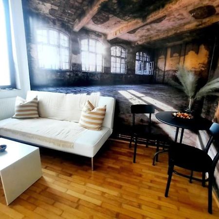 One Bedroom By The Park Old Town Belle Vue Timisoara Esterno foto