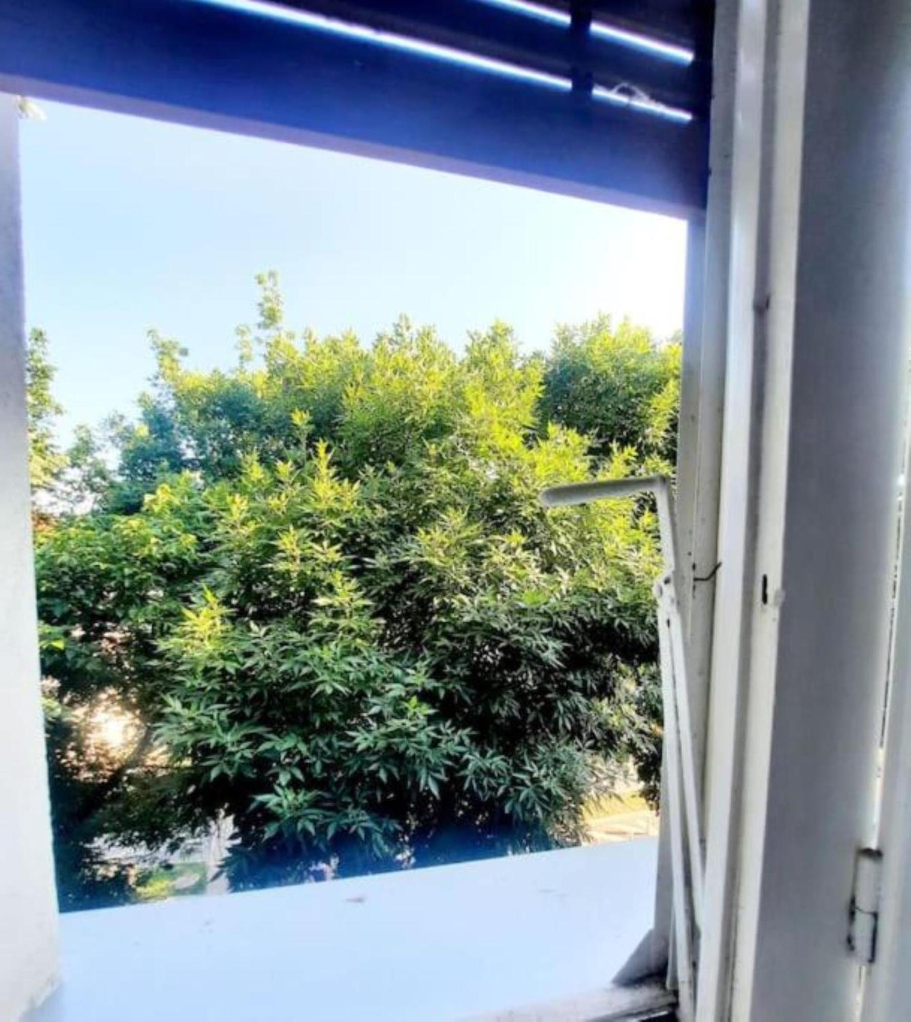 One Bedroom By The Park Old Town Belle Vue Timisoara Esterno foto